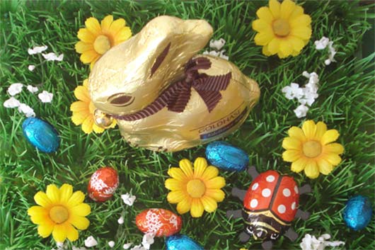 osterhase.jpg