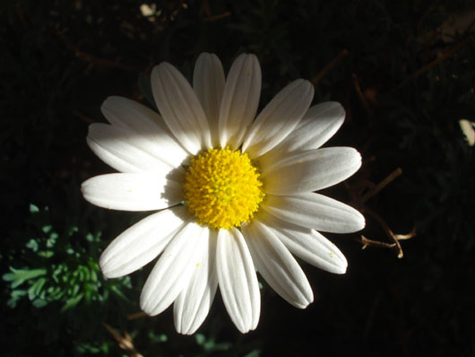 herbstanfang.jpg herbstanfang.jpg